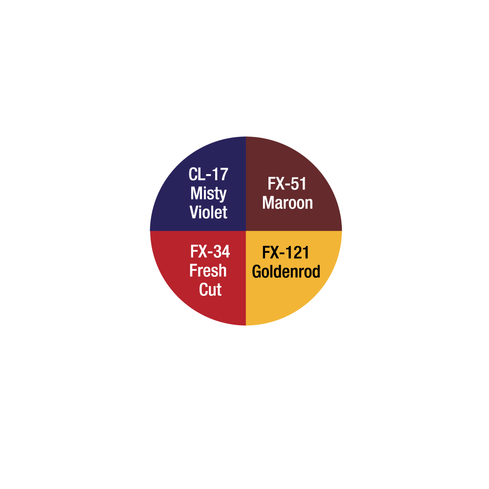 Bruise & Abrasions Wheel