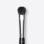 Brushes