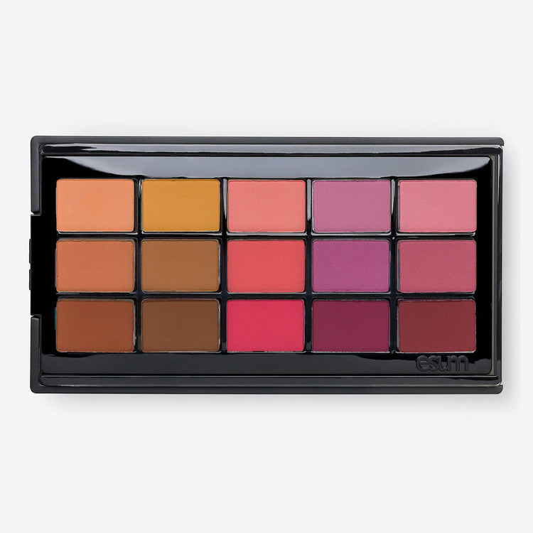 The Artistry Pigment Palette - No3 Harmony