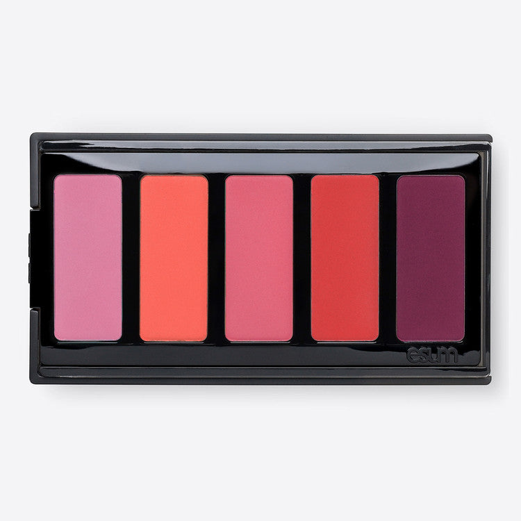 The Artistry Blush Palette - No9 Accentuate