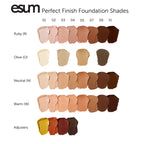 Perfect Finish Complexion Book