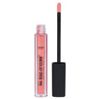 Paint Gloss Lipgloss