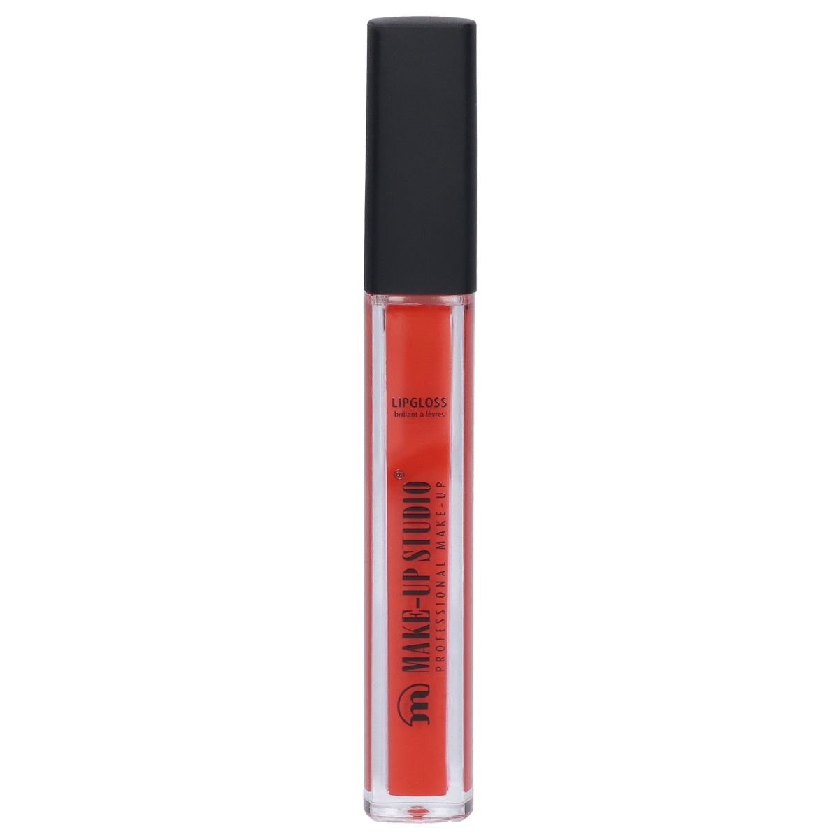Paint Gloss Lipgloss