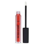 Paint Gloss Lipgloss