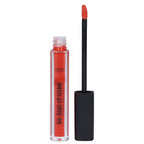 Paint Gloss Lipgloss