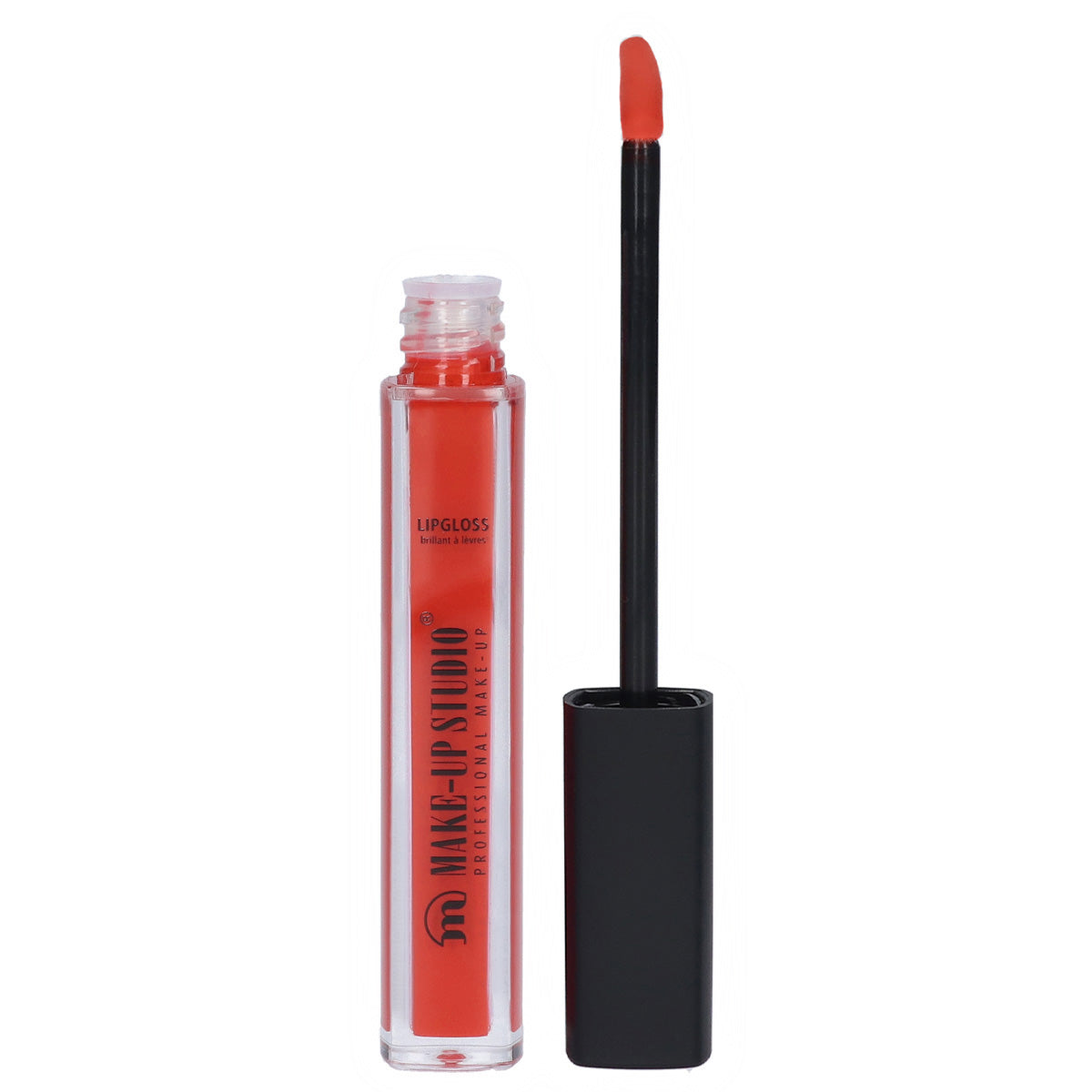 Paint Gloss Lipgloss